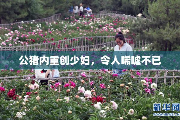 公猪内重创少妇，令人唏嘘不已