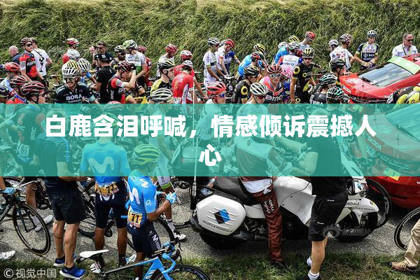 白鹿含泪呼喊，情感倾诉震撼人心