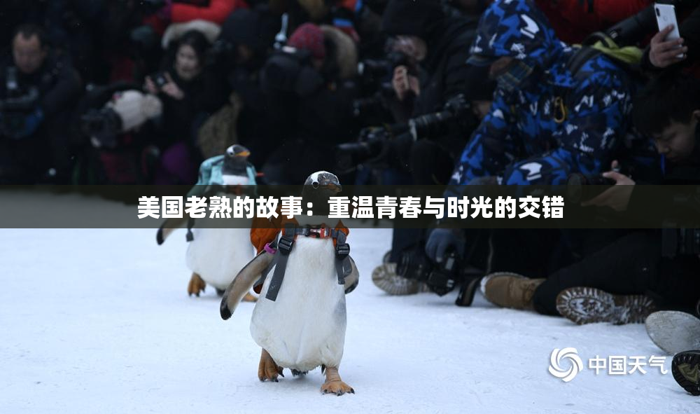 美国老熟的故事：重温青春与时光的交错