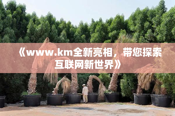 《www.km全新亮相，带您探索互联网新世界》