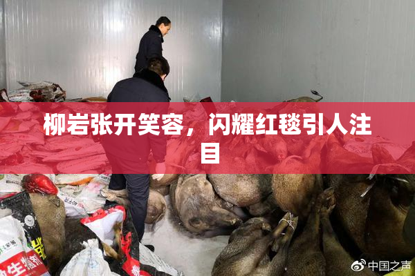 柳岩张开笑容，闪耀红毯引人注目