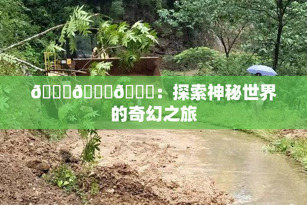 🍆🍑🔞：探索神秘世界的奇幻之旅