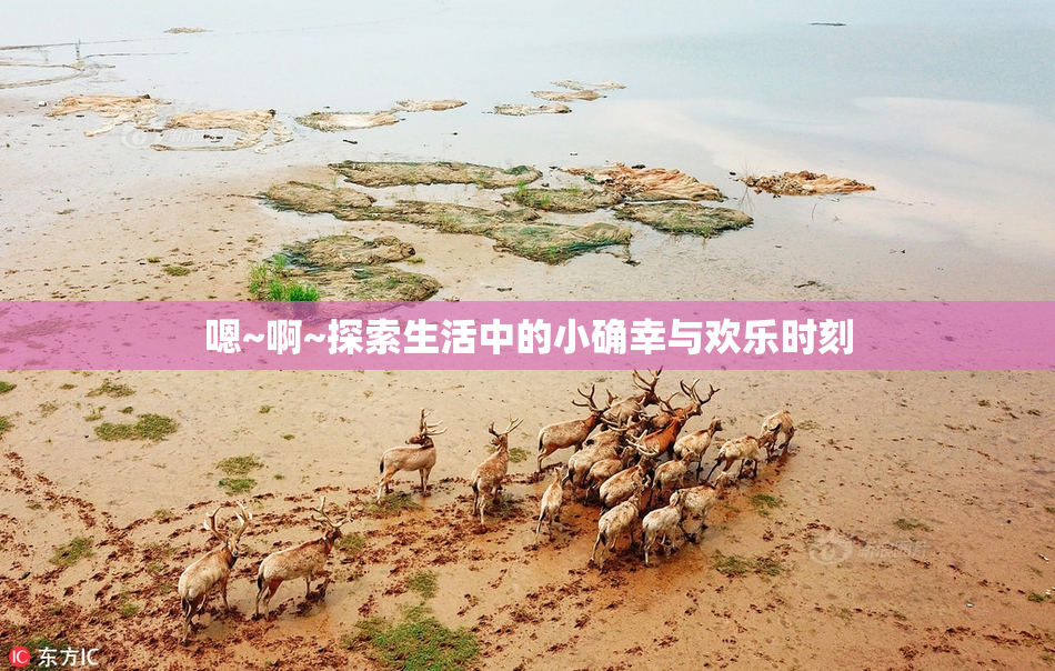 嗯~啊~探索生活中的小确幸与欢乐时刻