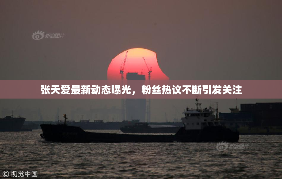 张天爱最新动态曝光，粉丝热议不断引发关注
