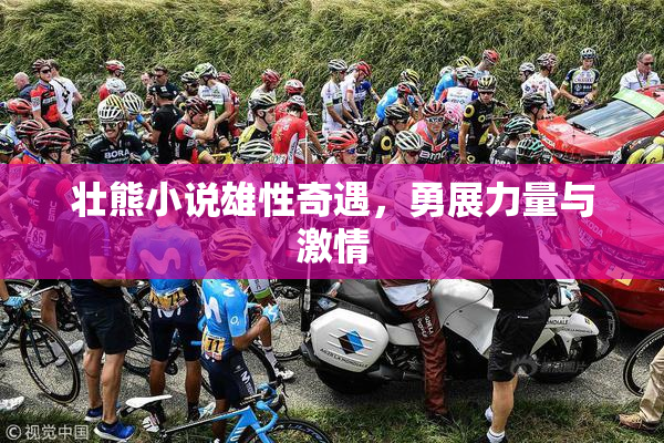 壮熊小说雄性奇遇，勇展力量与激情