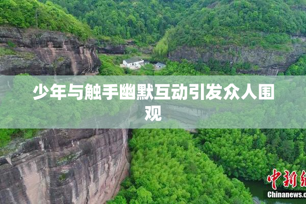 少年与触手幽默互动引发众人围观