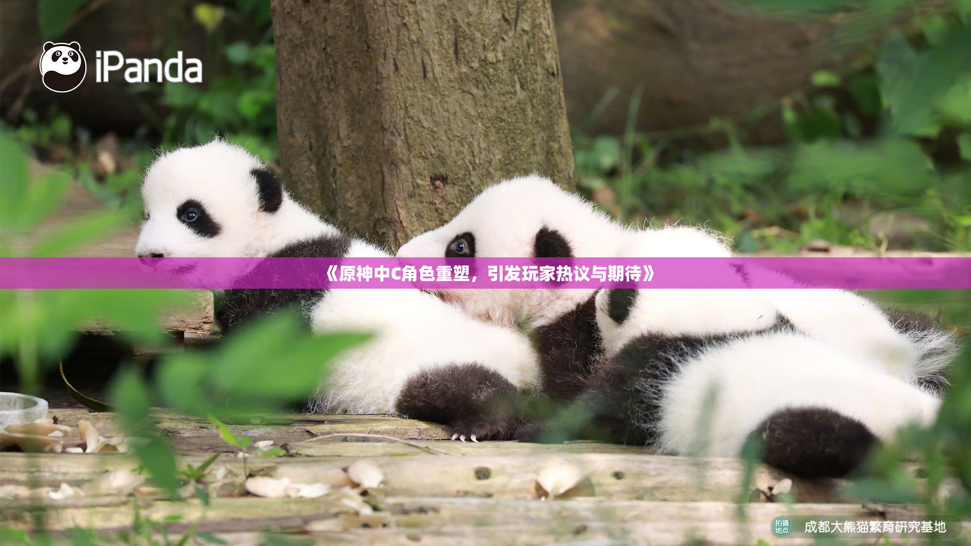 《原神中C角色重塑，引发玩家热议与期待》