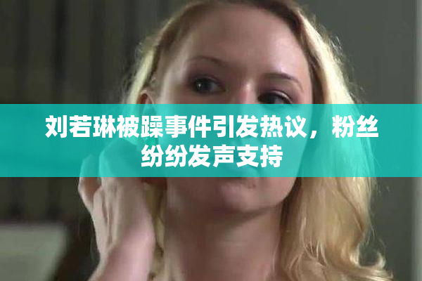 刘若琳被躁事件引发热议，粉丝纷纷发声支持