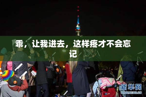 乖，让我进去，这样疼才不会忘记