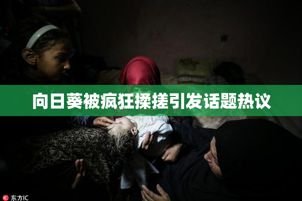 向日葵被疯狂揉搓引发话题热议