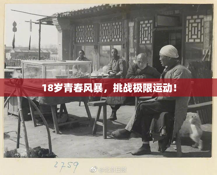 18岁青春风暴，挑战极限运动！