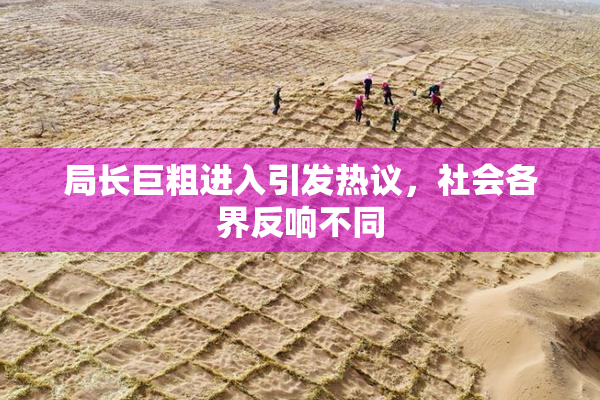 局长巨粗进入引发热议，社会各界反响不同