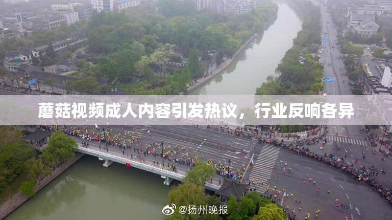 蘑菇视频成人内容引发热议，行业反响各异