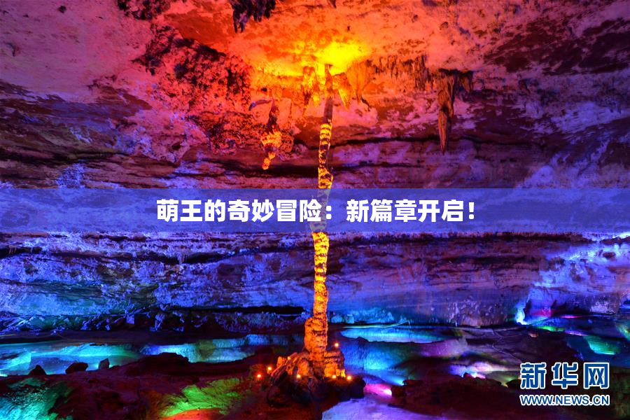 萌王的奇妙冒险：新篇章开启！