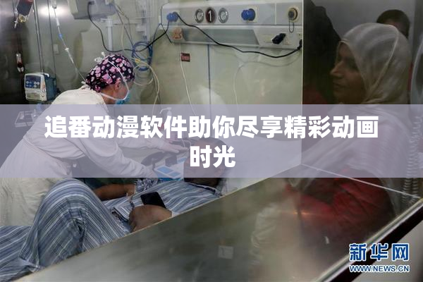 追番动漫软件助你尽享精彩动画时光
