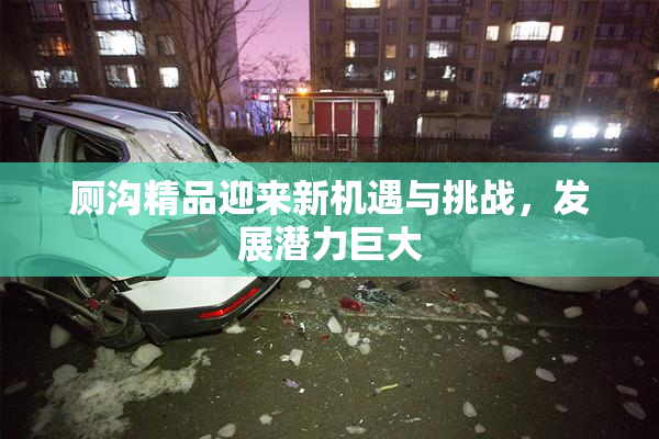 厕沟精品迎来新机遇与挑战，发展潜力巨大