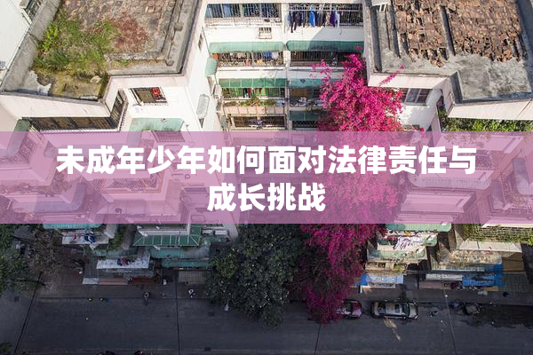 未成年少年如何面对法律责任与成长挑战