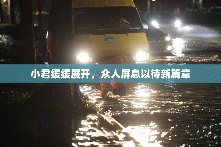 小君缓缓展开，众人屏息以待新篇章
