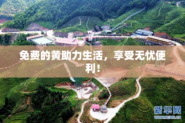 免费的黄助力生活，享受无忧便利！