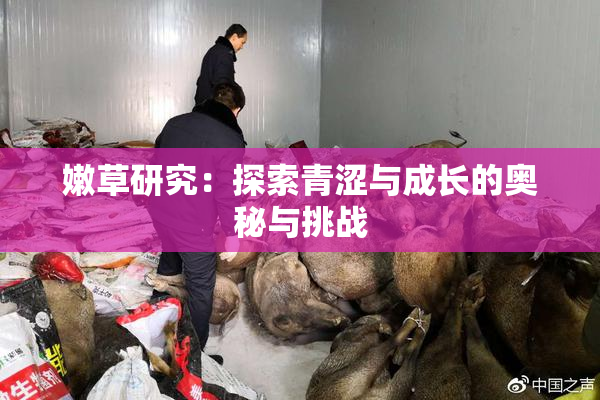 嫩草研究：探索青涩与成长的奥秘与挑战