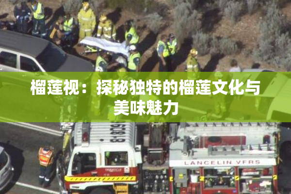 榴莲视：探秘独特的榴莲文化与美味魅力