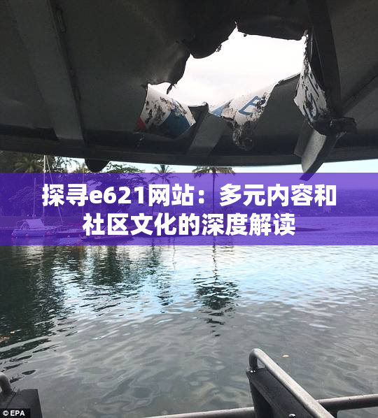 探寻e621网站：多元内容和社区文化的深度解读