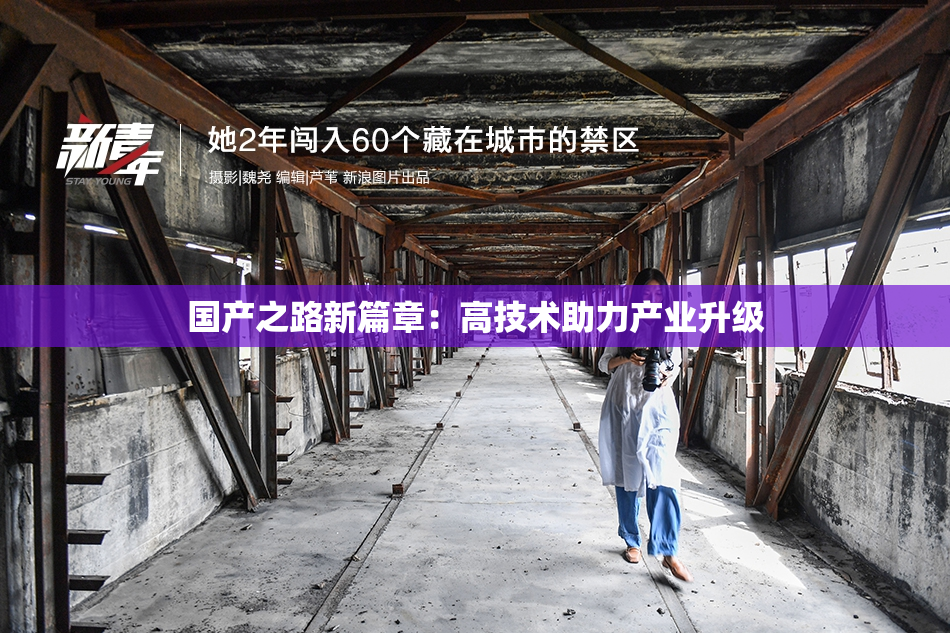 国产之路新篇章：高技术助力产业升级