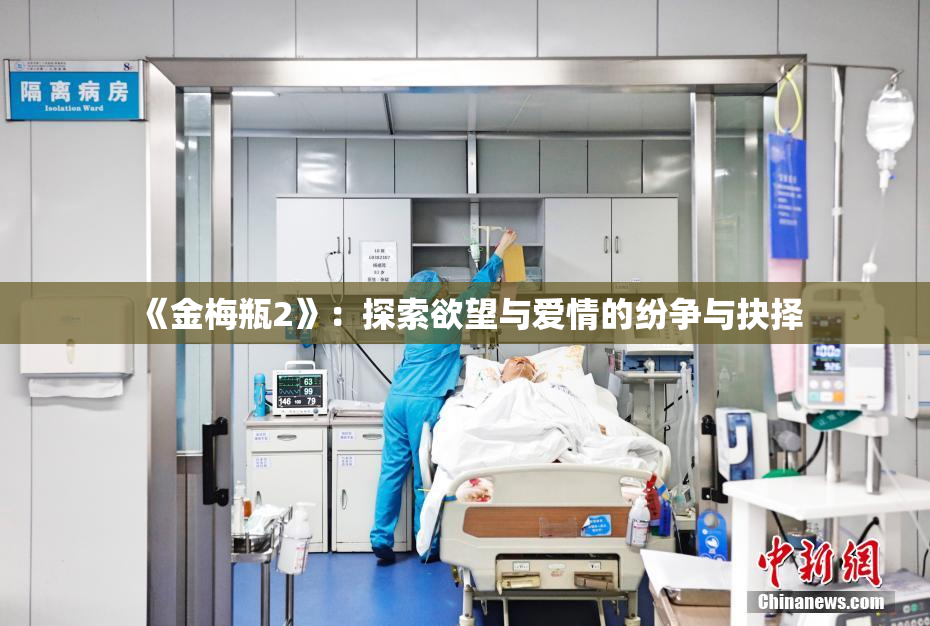 《金梅瓶2》：探索欲望与爱情的纷争与抉择