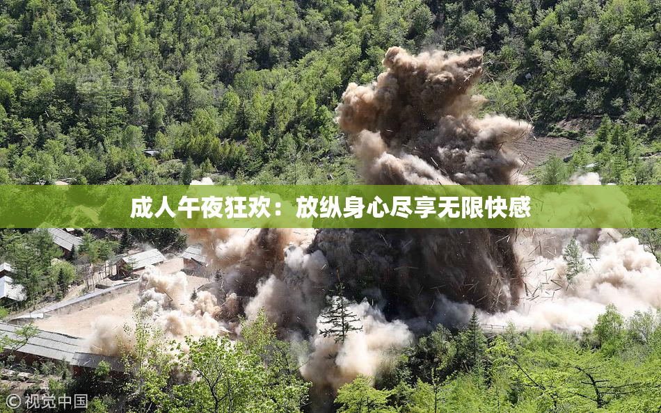 成人午夜狂欢：放纵身心尽享无限快感