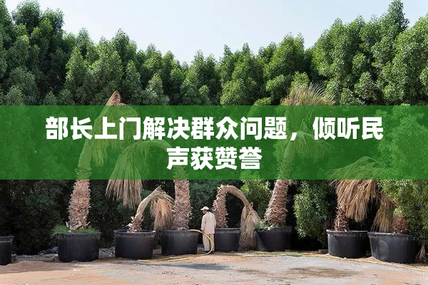 部长上门解决群众问题，倾听民声获赞誉