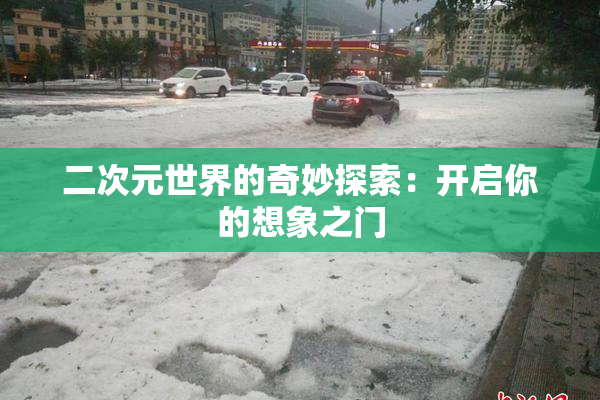 二次元世界的奇妙探索：开启你的想象之门