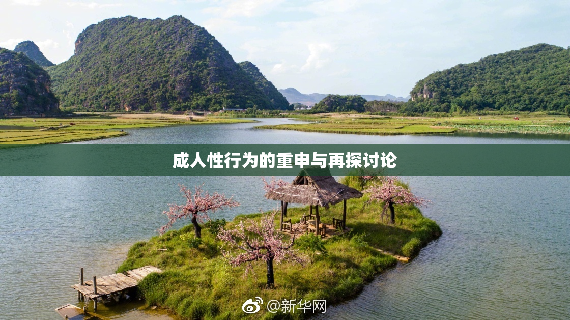 成人性行为的重申与再探讨论