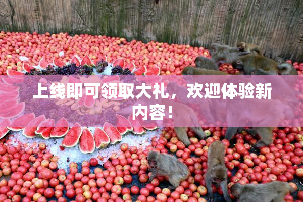 上线即可领取大礼，欢迎体验新内容！