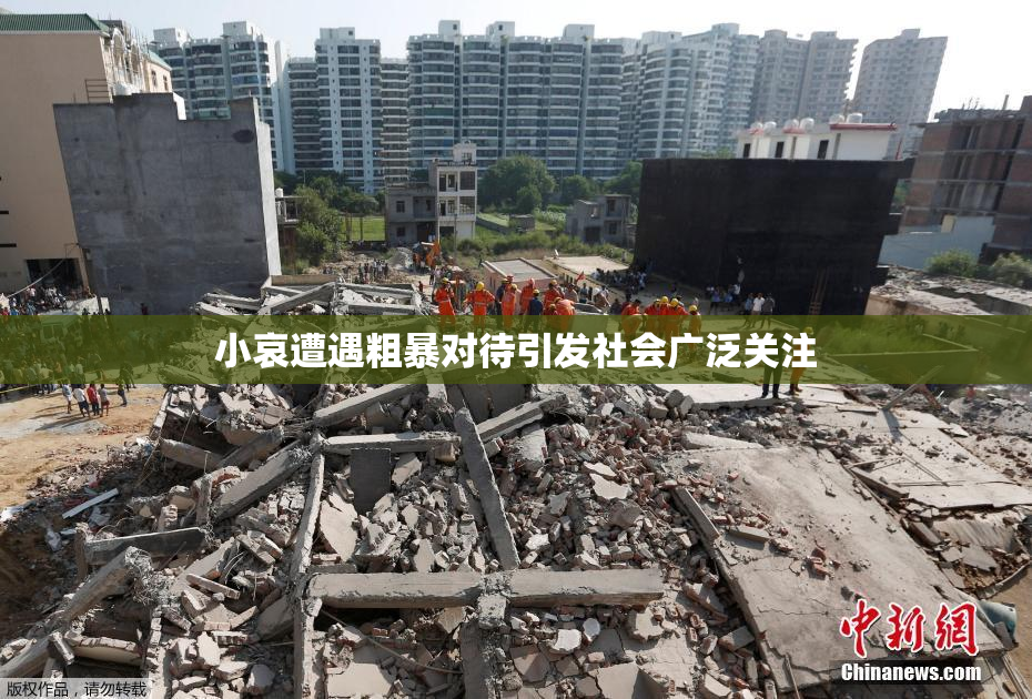 小哀遭遇粗暴对待引发社会广泛关注