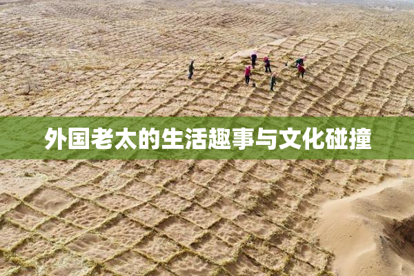 外国老太的生活趣事与文化碰撞