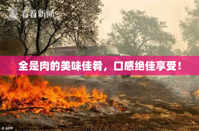 全是肉的美味佳肴，口感绝佳享受！
