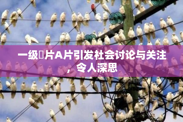 一级婬片A片引发社会讨论与关注，令人深思