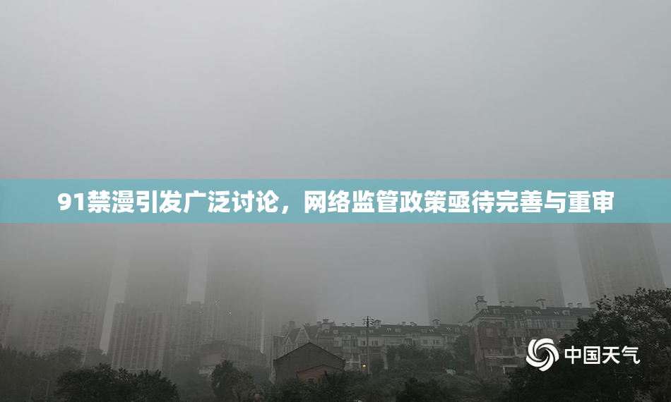 91禁漫引发广泛讨论，网络监管政策亟待完善与重审