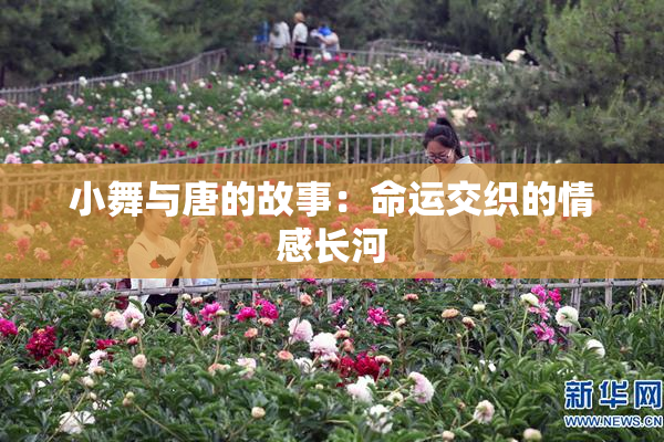 小舞与唐的故事：命运交织的情感长河