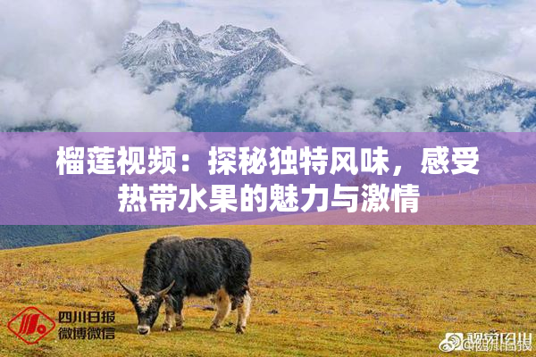 榴莲视频：探秘独特风味，感受热带水果的魅力与激情