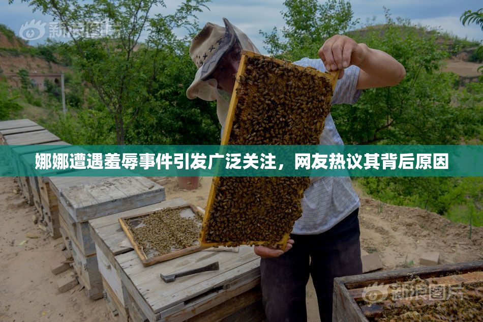 娜娜遭遇羞辱事件引发广泛关注，网友热议其背后原因