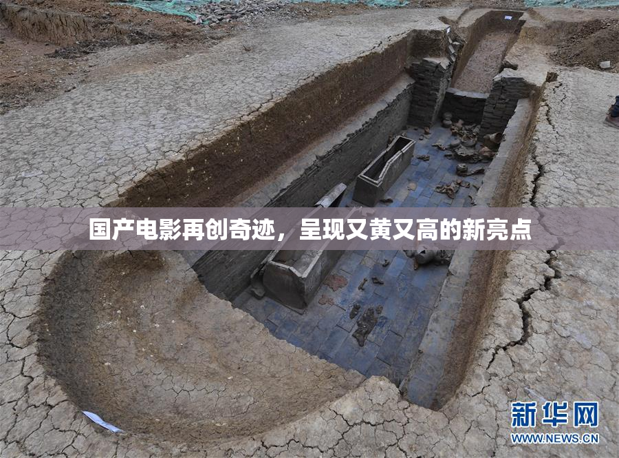 国产电影再创奇迹，呈现又黄又高的新亮点
