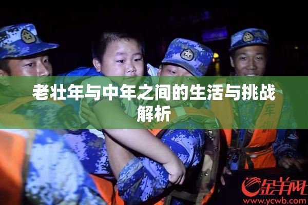 老壮年与中年之间的生活与挑战解析