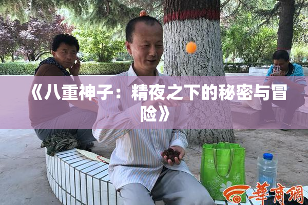 《八重神子：精夜之下的秘密与冒险》
