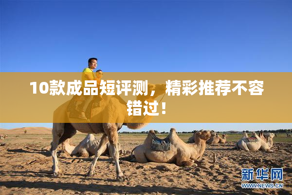10款成品短评测，精彩推荐不容错过！
