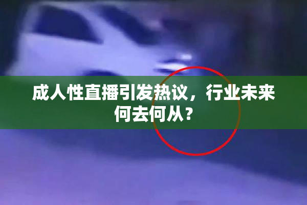 成人性直播引发热议，行业未来何去何从？