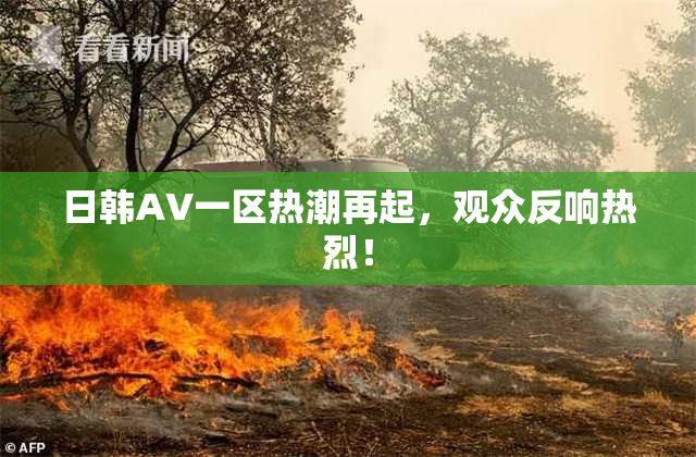 日韩AV一区热潮再起，观众反响热烈！