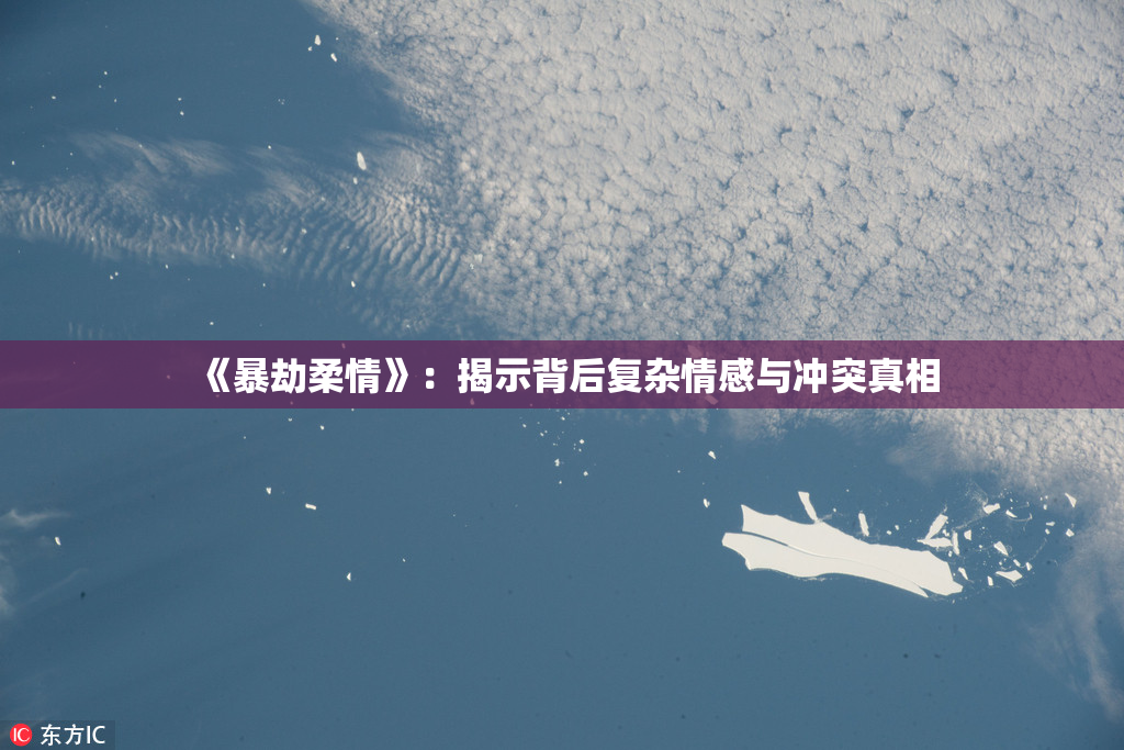 《暴劫柔情》：揭示背后复杂情感与冲突真相