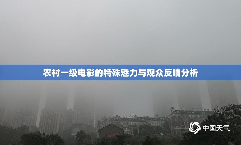 农村一级电影的特殊魅力与观众反响分析