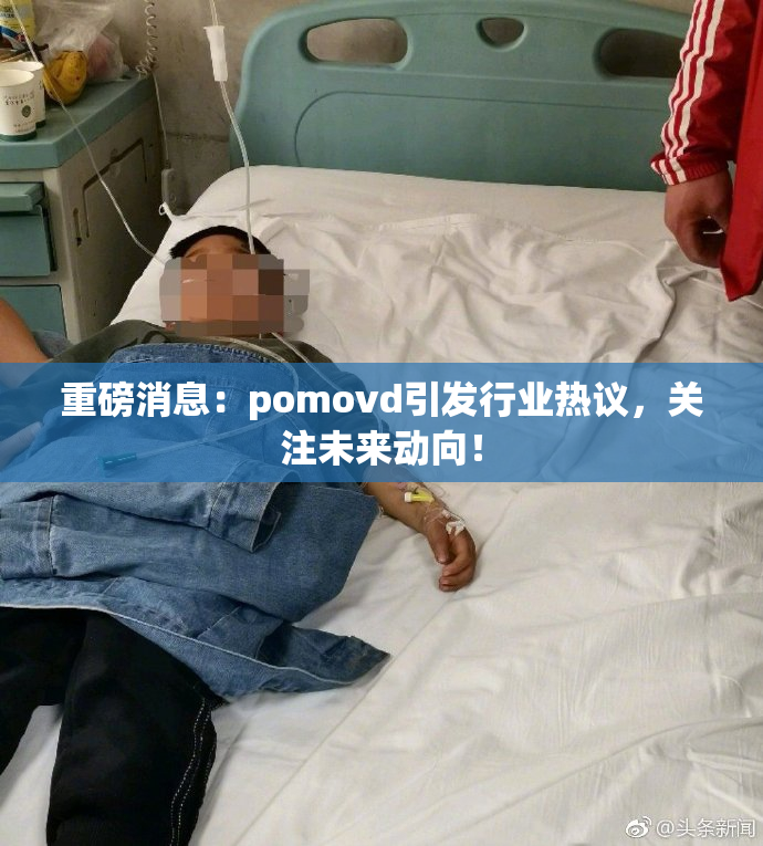 重磅消息：pomovd引发行业热议，关注未来动向！